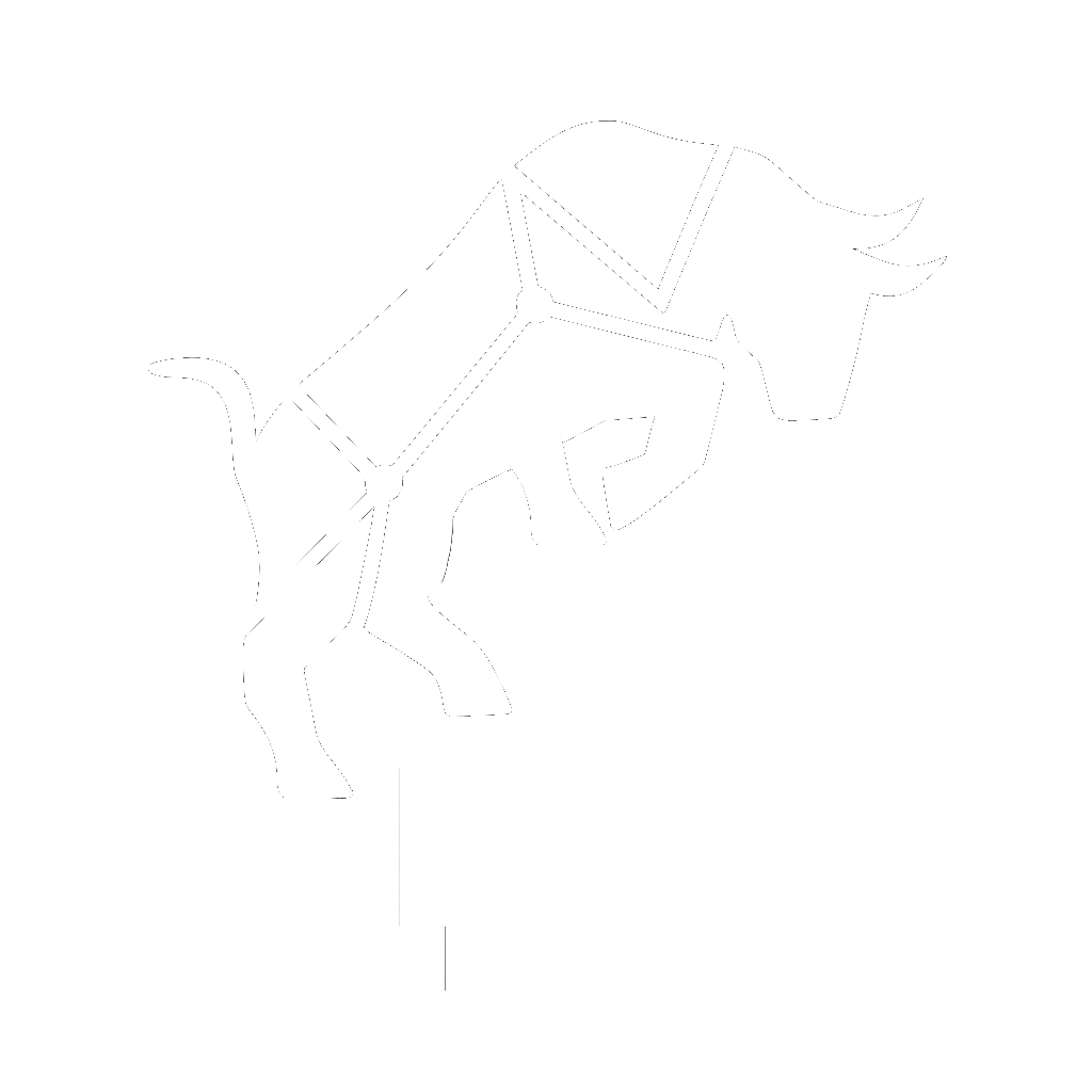 RobotTrader